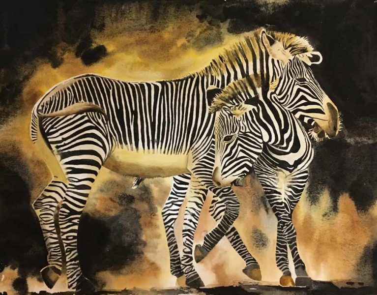 Zebras, Watercolor, by Gail Juszczak