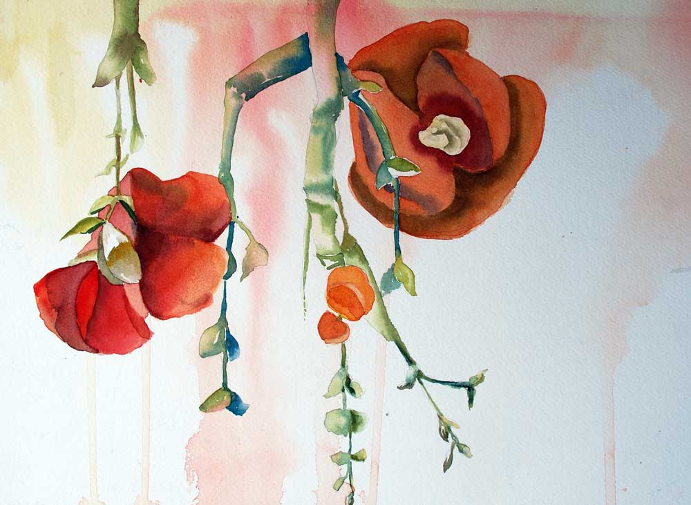 Fallen Begonias, Watercolor, 12x16", by Judith Gahn Murphy