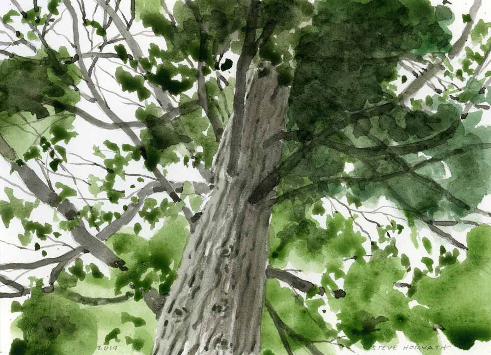 Aging in Eagle River Wisconsin, Watercolor, by Steve Horvath