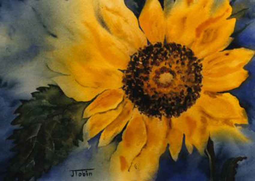 Sunflower, Watercolor, by Jean Tobin