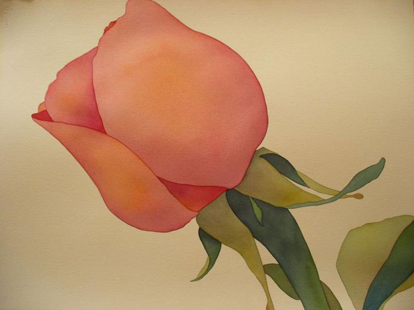 Rose, Watercolor, by Judith Radtke