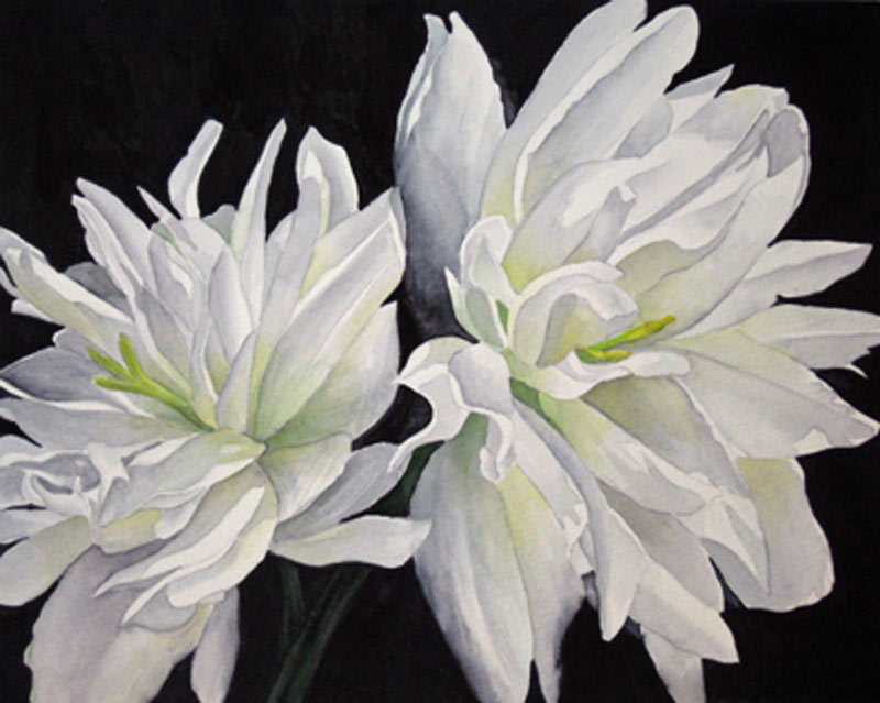 White on Black, Watercolor, by Shelby J. Schait