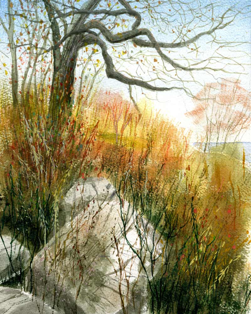 Fall Colors, Watercolor, by Steve Horvath