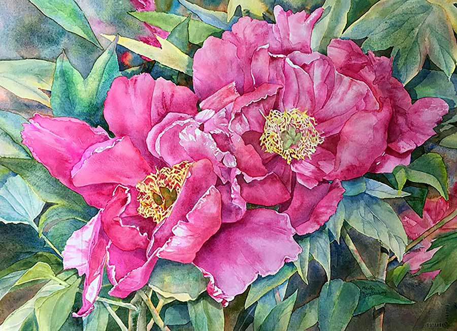 Two Peonies, Watercolor, 22x30", by Marilyn Fuerstenberg