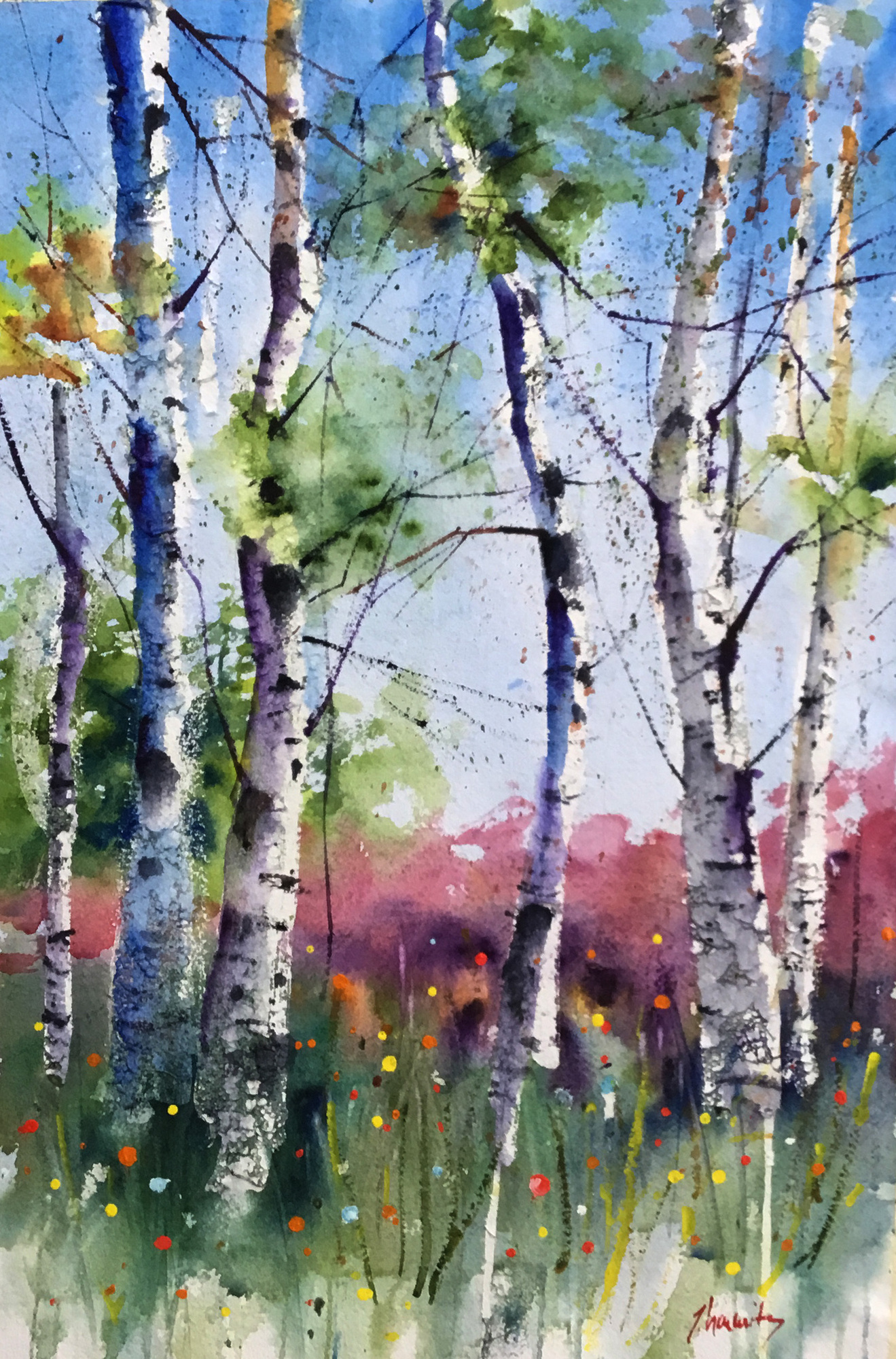Bemidji Birch